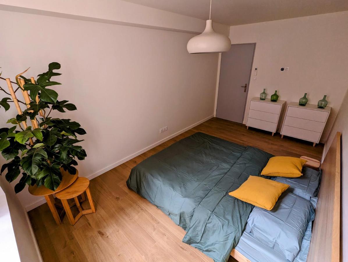 Douceur, Elegance Au Coeur D'Albi Lägenhet Exteriör bild