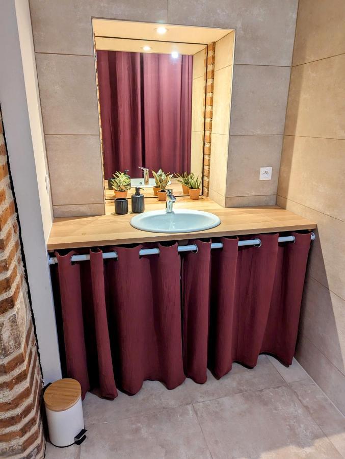 Douceur, Elegance Au Coeur D'Albi Lägenhet Exteriör bild